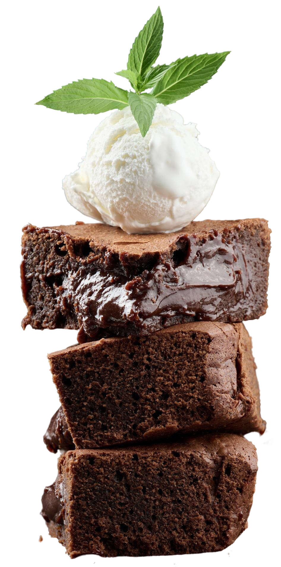 Chocolate brownie dessert